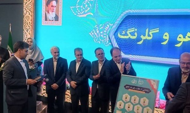 هدف گذاری ۵۰ درصد خودکفایی تولید بذر سبزی و صیفی در برنامه هفتم توسعه کشور