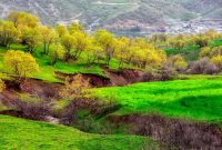 سراب نای کش سرابی رفته در خواب