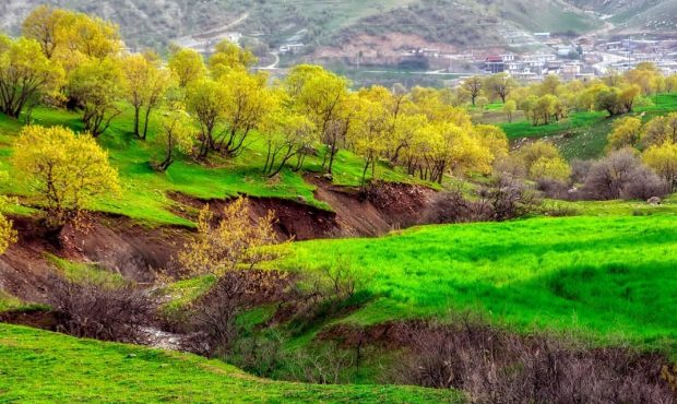 سراب نای کش سرابی رفته در خواب