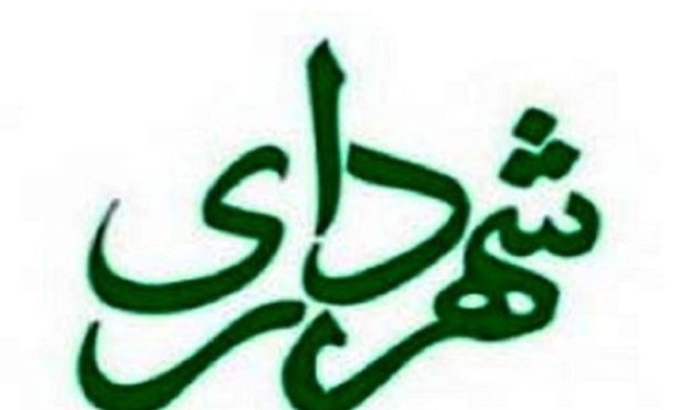شهردار دورود انتخاب شد