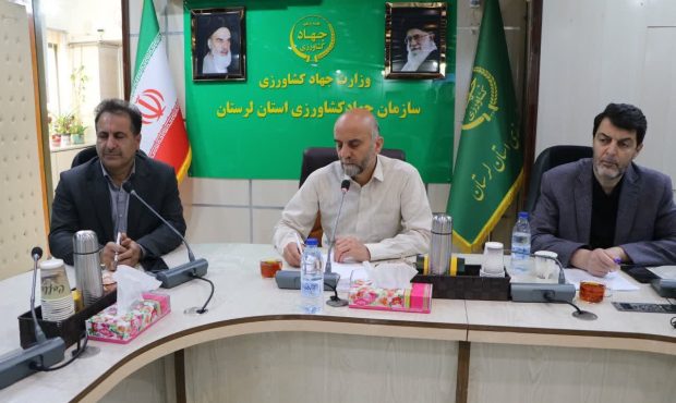 الگوی کشت ضریب بهره وری را افزایش می دهد