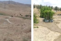 در الیگودرز پارک جنگلی احداث می شود در الیگودرز پارک جنگلی احداث می شود