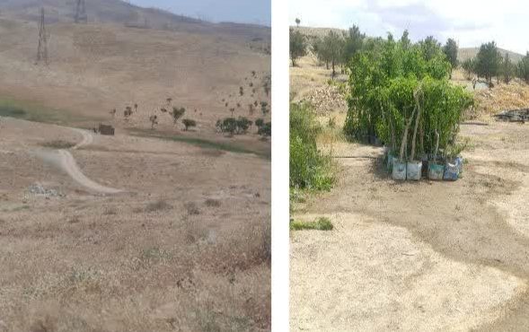 در الیگودرز پارک جنگلی احداث می شود