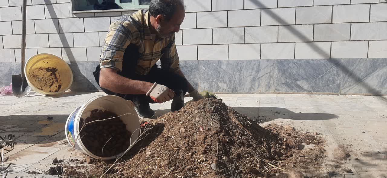 کاشت بذر بلوط توسط آقای قدرت الله نظری همیار طبیعت از شهر الشتر