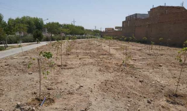 احداث توتستان در خیابان ساحلی ساوه احداث توتستان در خیابان ساحلی ساوه