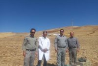 ۱۳ پهله پرنده شکاری به دامن طبیعت برگشتند